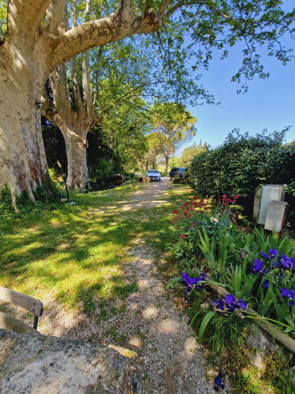 Ancien Mas Du Moulin Bed & Breakfast Eygalieres  Bagian luar foto