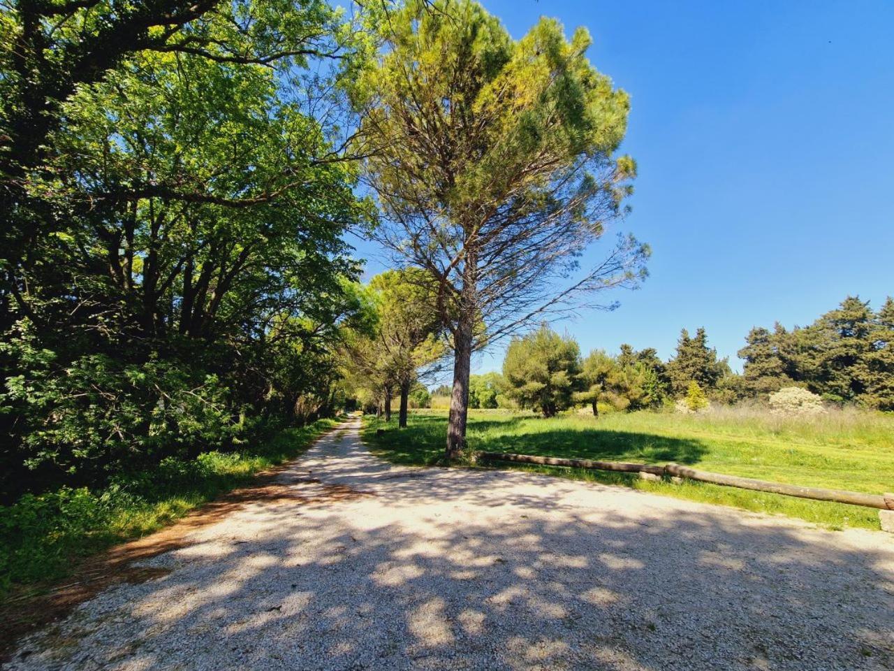 Ancien Mas Du Moulin Bed & Breakfast Eygalieres  Bagian luar foto